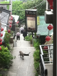 image-20110913133734.png