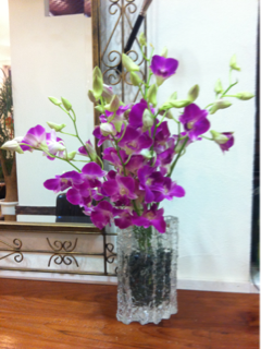 image-20111025181455.png