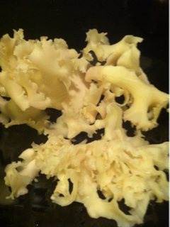 image-20111231011435.png