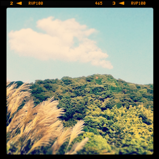 image-20121018115331.png