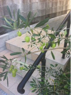 image-20111006140901.png