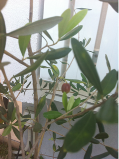 image-20111006141009.png